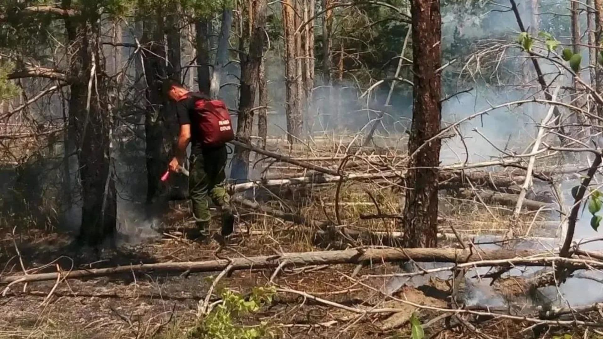 В Ростовской области выросла площадь лесного пожара