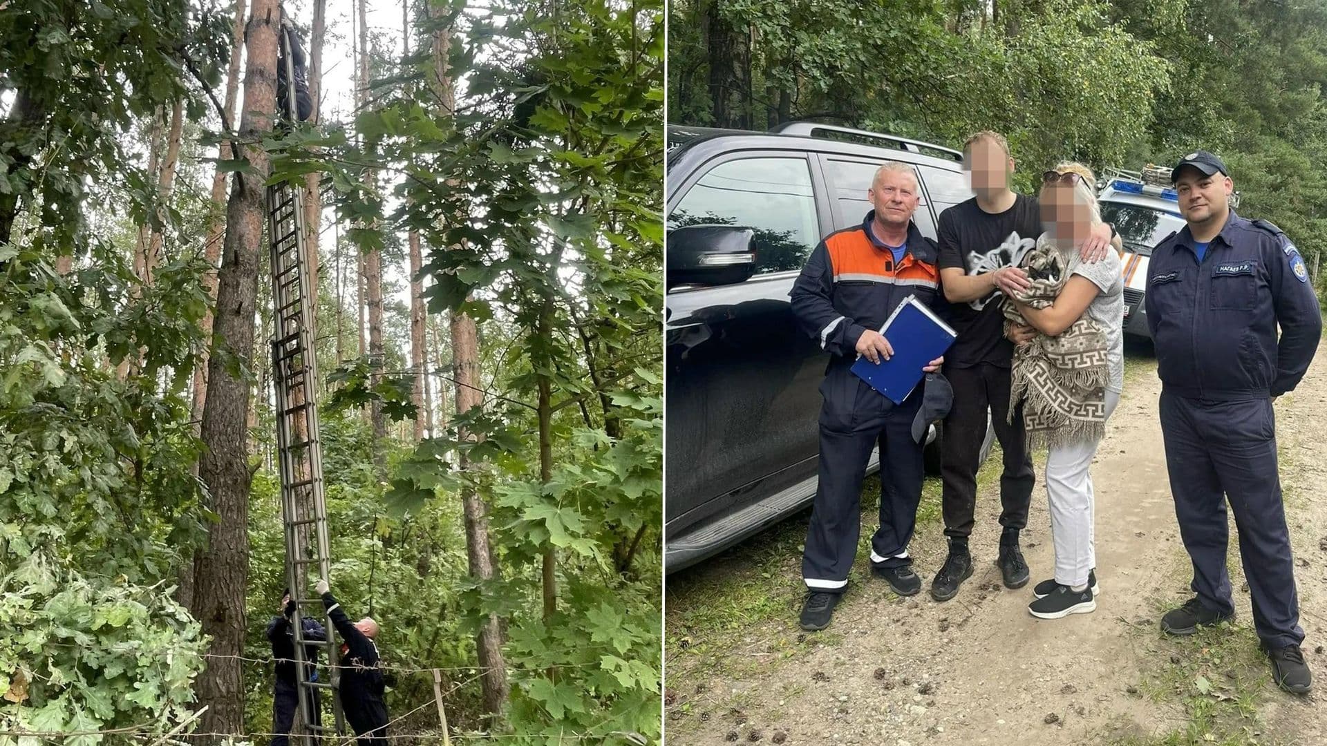В Подмосковье мужчина залез на сосну, чтобы спасти кота