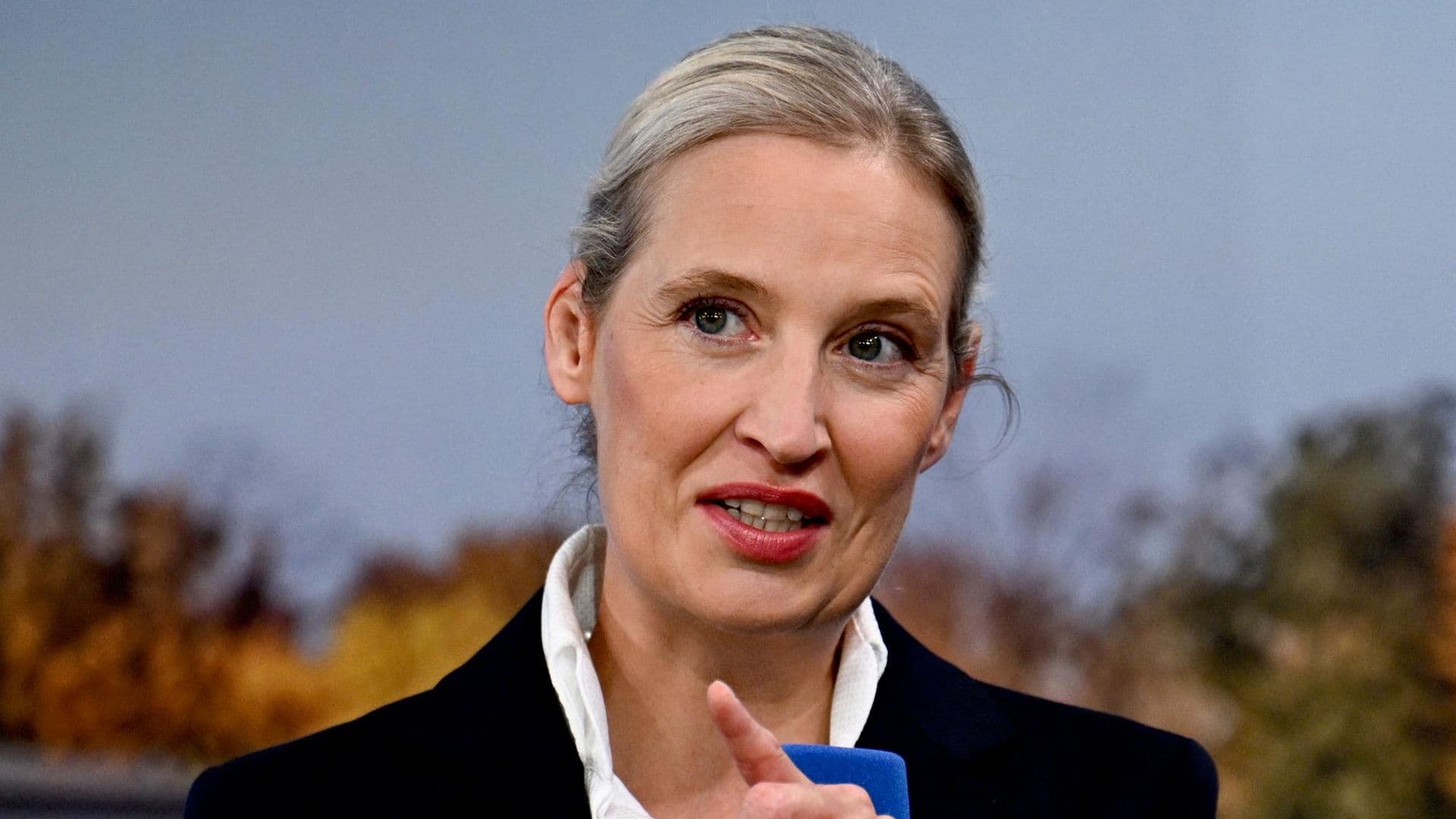 Сопредседателя АдГ рассмешила идея Вюста создать группу по запрету партии