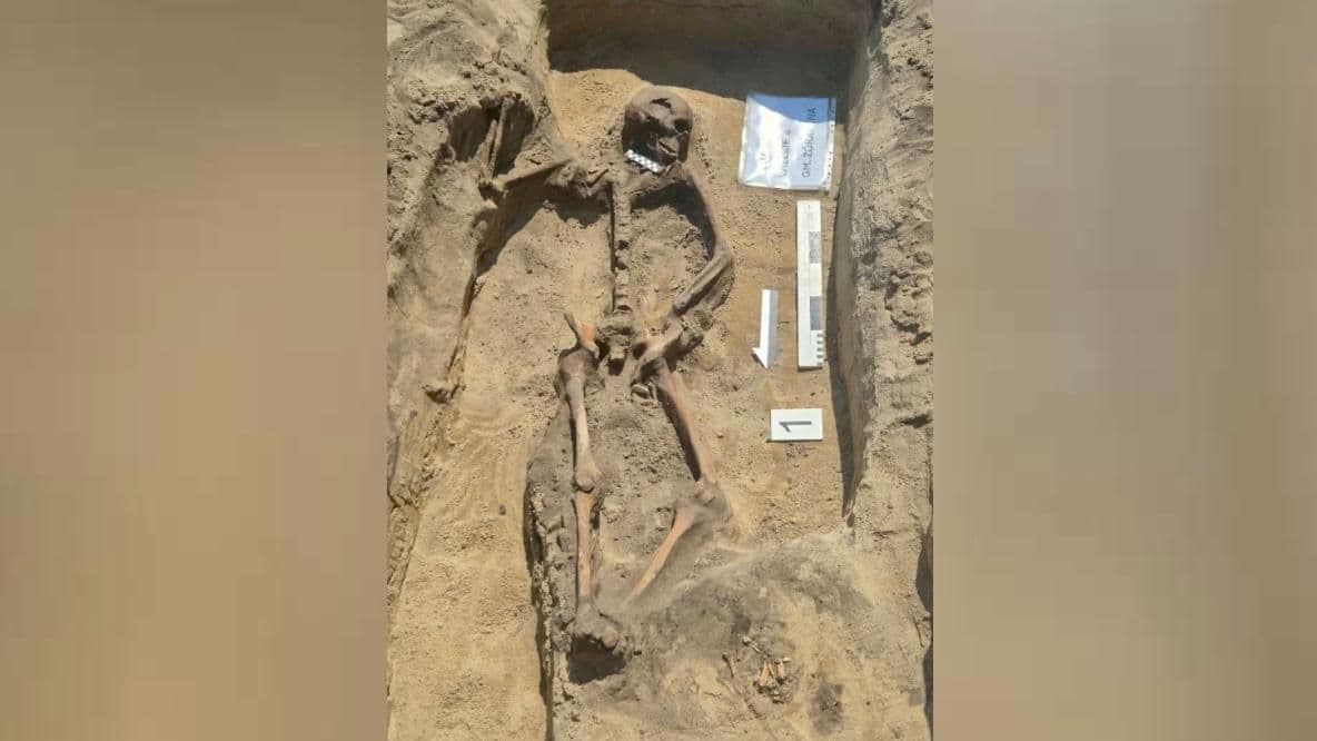 В Польше нашли скелет мужчины, жившего пять тысяч лет назад