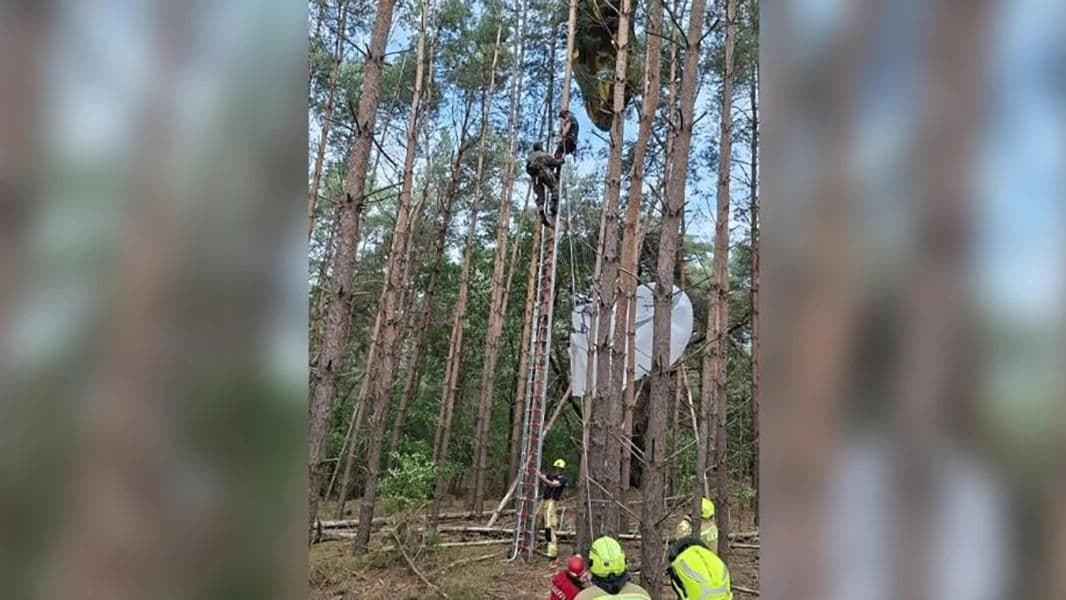 В Бельгии неудачливых военных пришлось снимать с деревьев