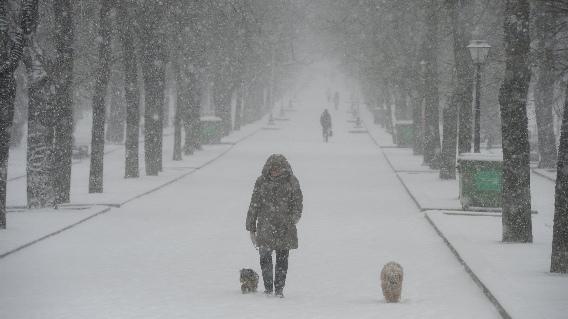 Синоптик рассказал, когда в Москве начнется снегопад