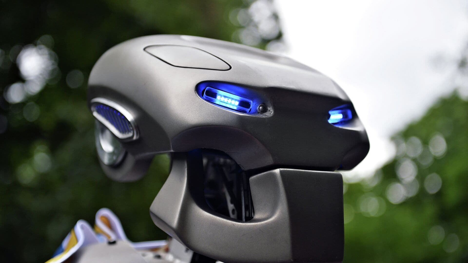 Глава РАН рассказал, когда роботы смогут обыграть сборную по футболу