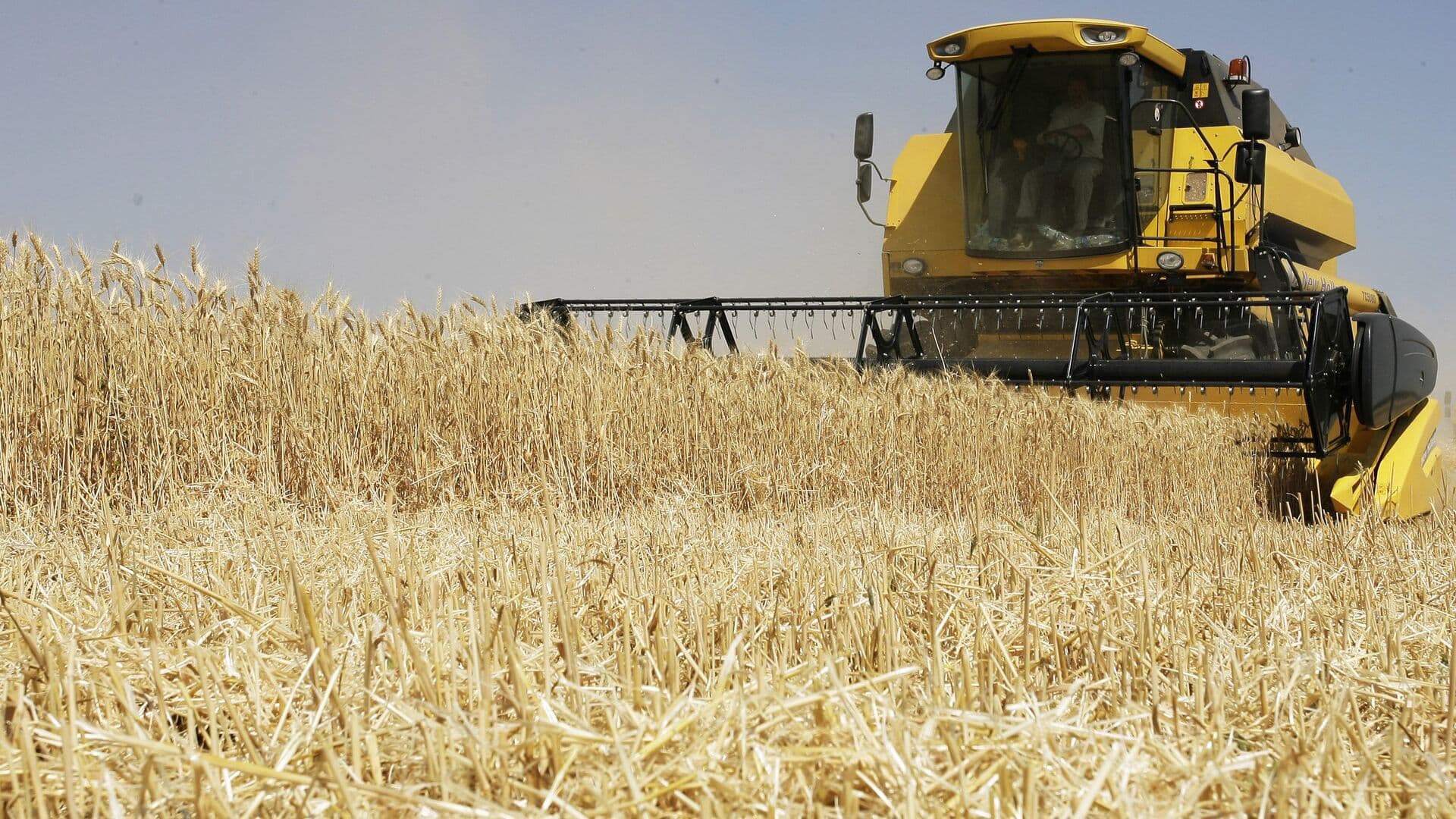 Госдума в 2025 году приняла 26 законов в области сельского хозяйства