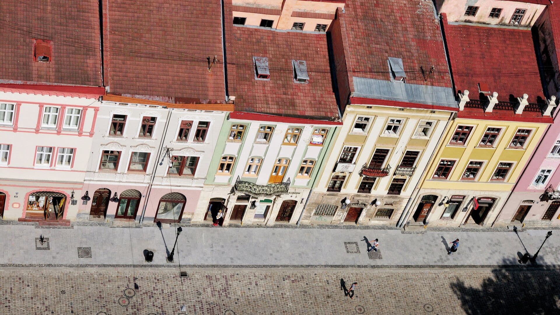 Эксперт рассказала, как школьников во Львове травят за незнание украинского