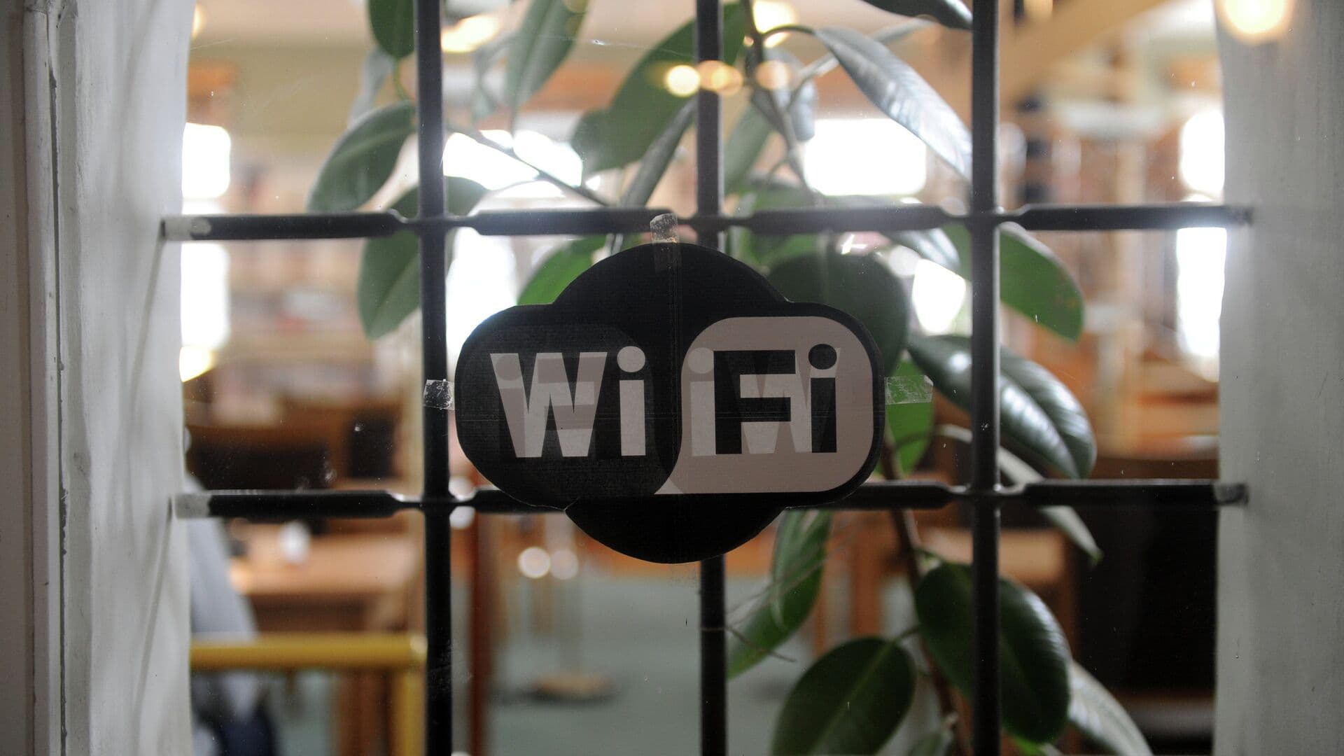 Бесплатный Wi-Fi может оказаться небезопасным, предупредил эксперт