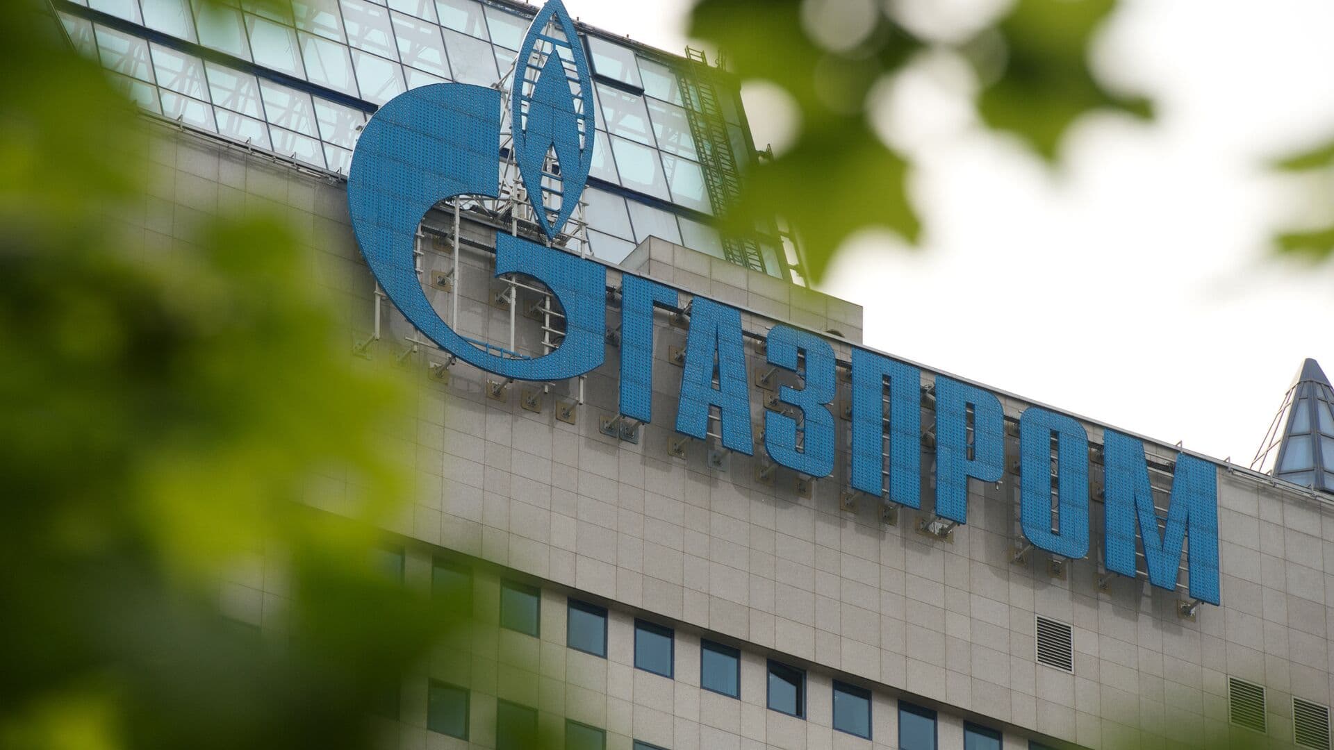 Совет директоров "Газпрома" рекомендовал не платить дивиденды за 2025 год