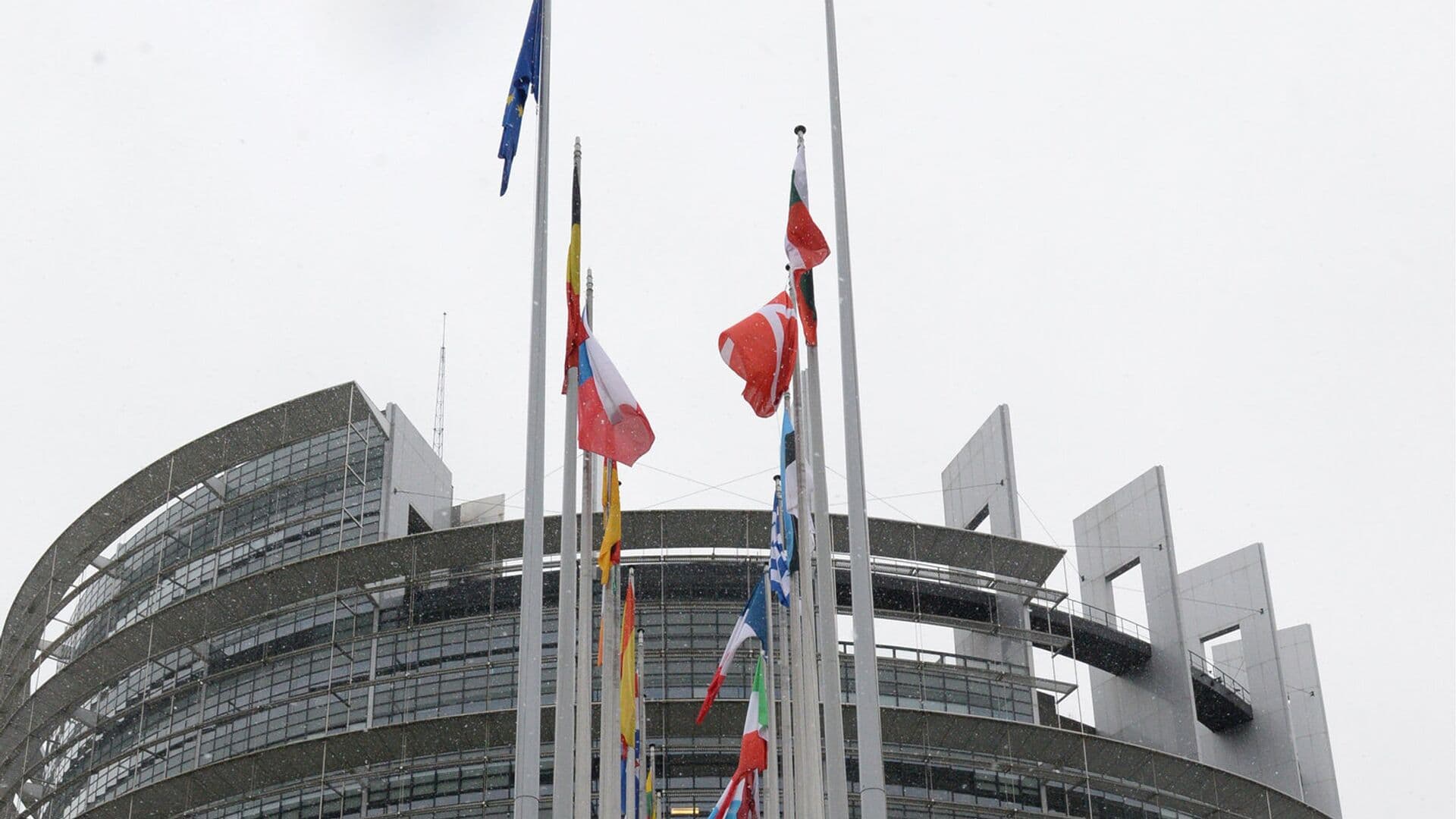 В Европарламенте разгорелся скандал из-за расистского высказывания