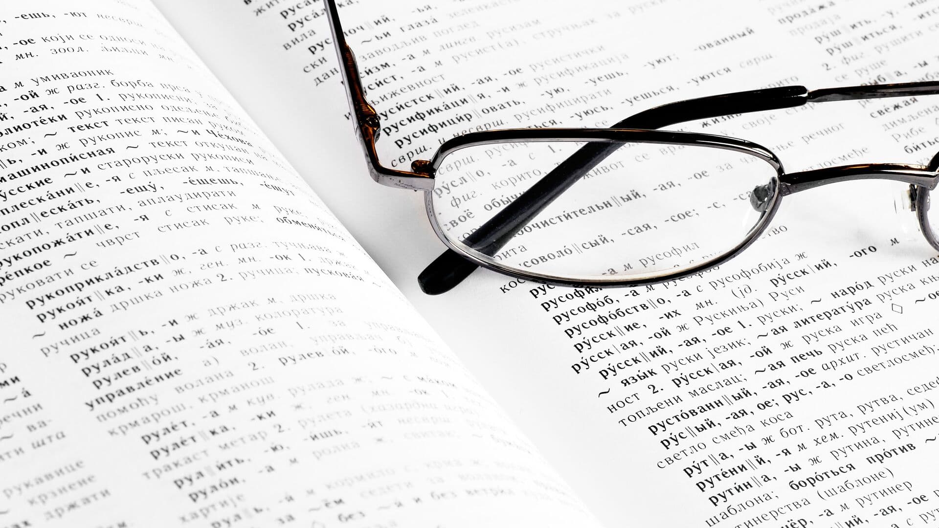 В Институте Русистики напомнили забытое значение слова "живот"