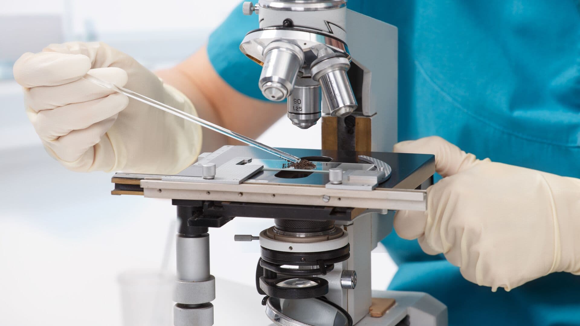 В России создали искусственную кожу для лечения ран у животных