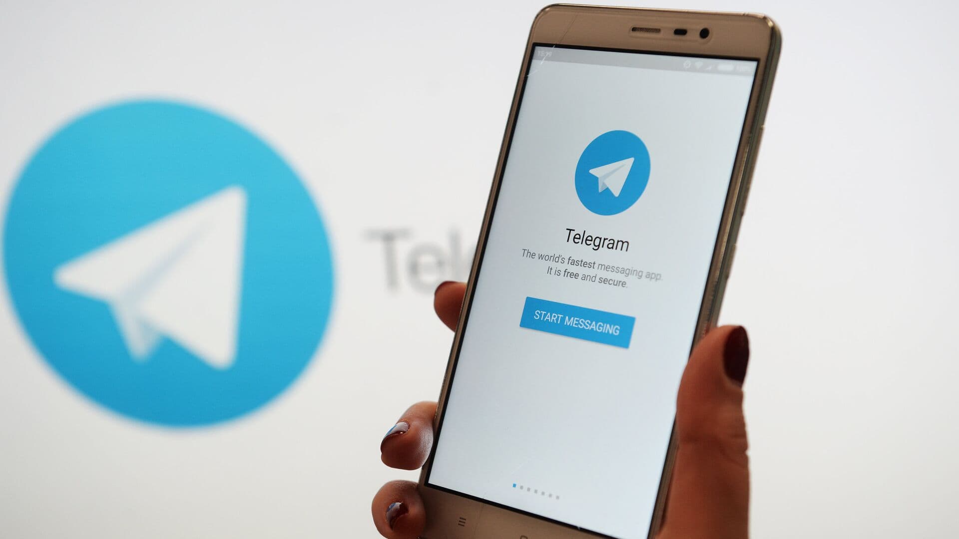 Суд оставил в СИЗО создателей Telegram-бота для продажи данных россиян