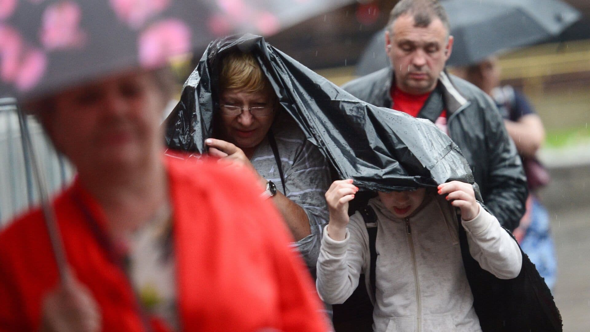 Москвичам пообещали теплую погоду и дождь во вторник