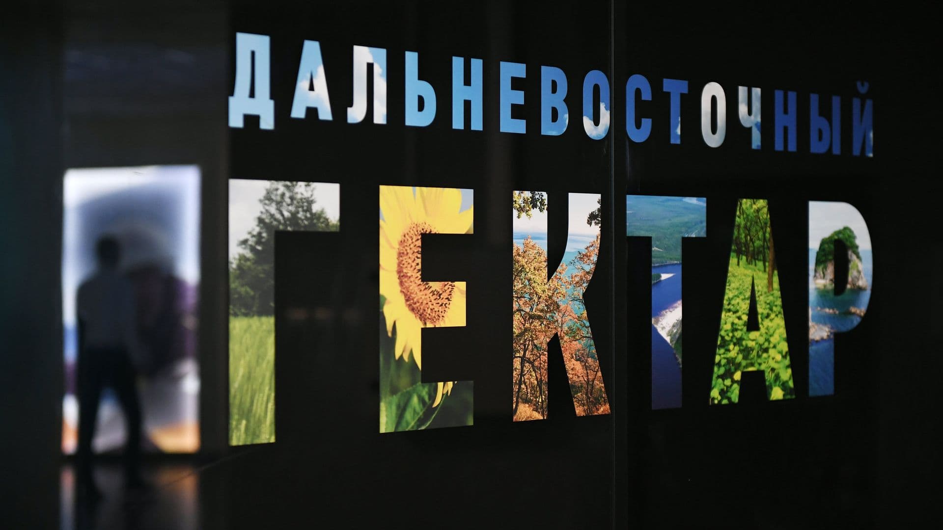 В России разработают программу для получения "гектара" участниками СВО