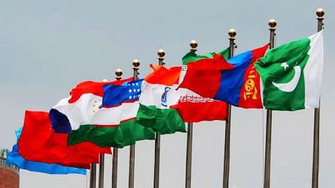 Страны ШОС поддержали расширение сотрудничества в области энергетики