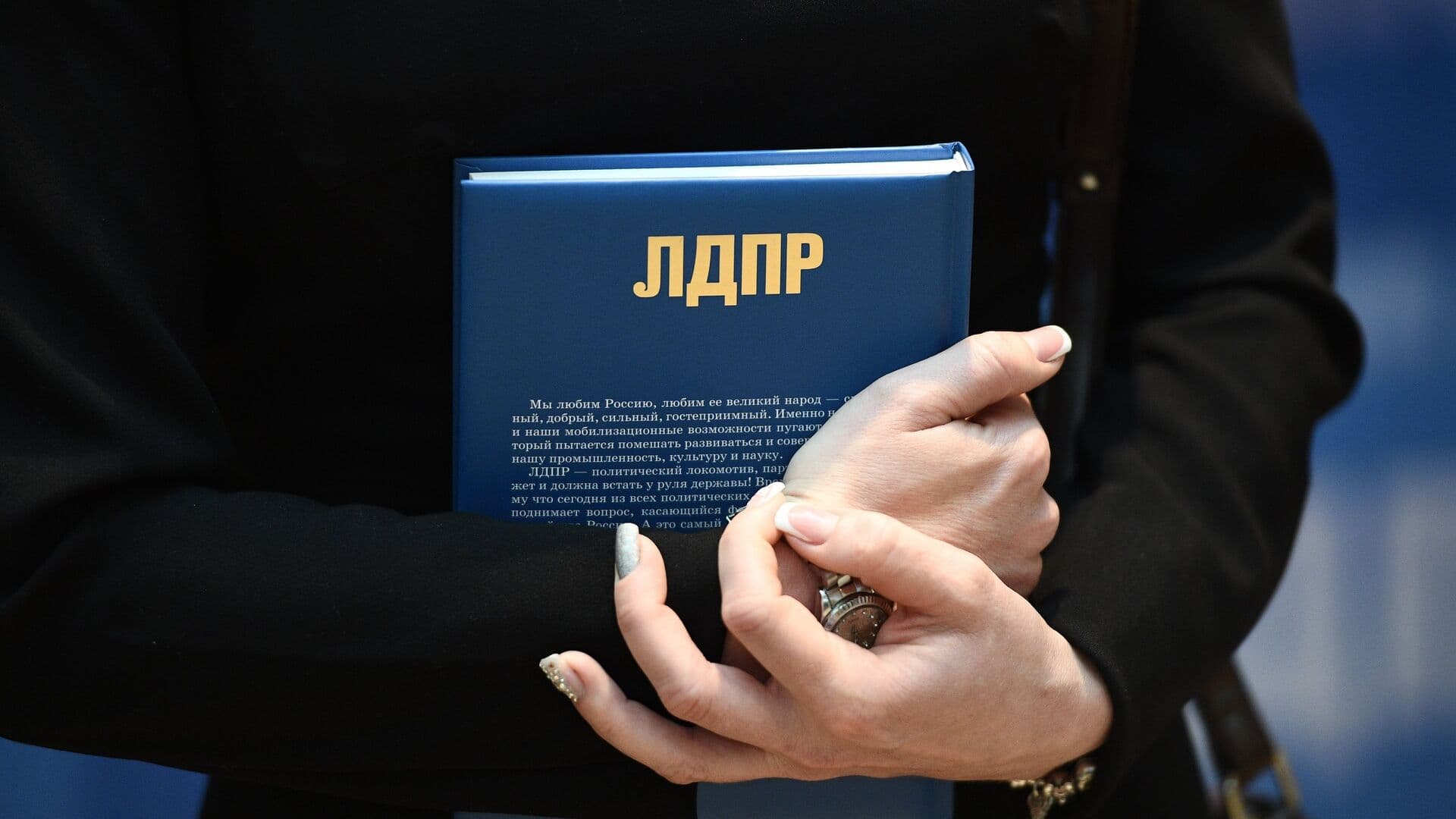 ЛДПР предложила создать реестр свободных земельных участков под аренду