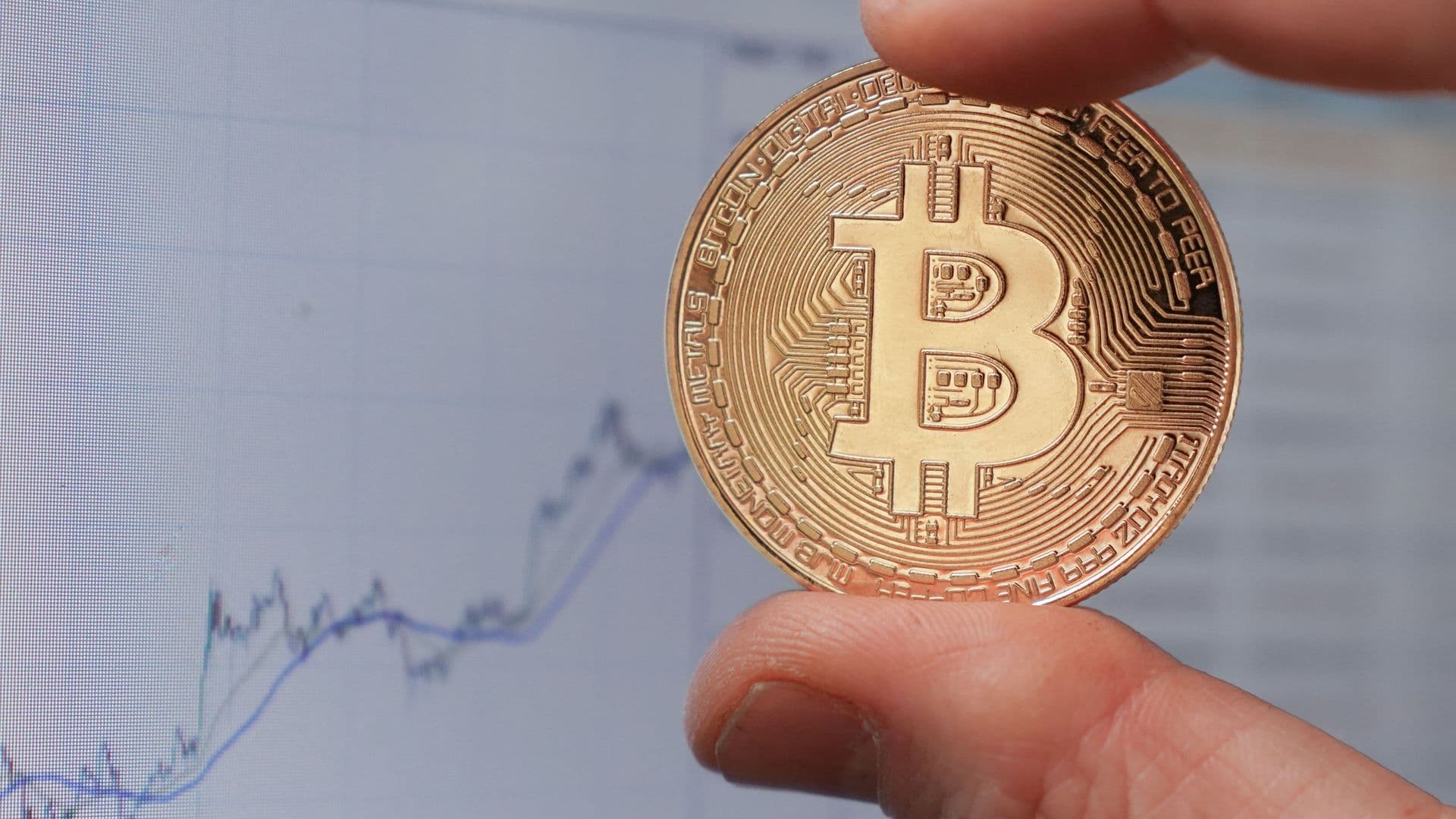 Стоимость биткоина превысила 81 тысячу долларов впервые с 15 мая