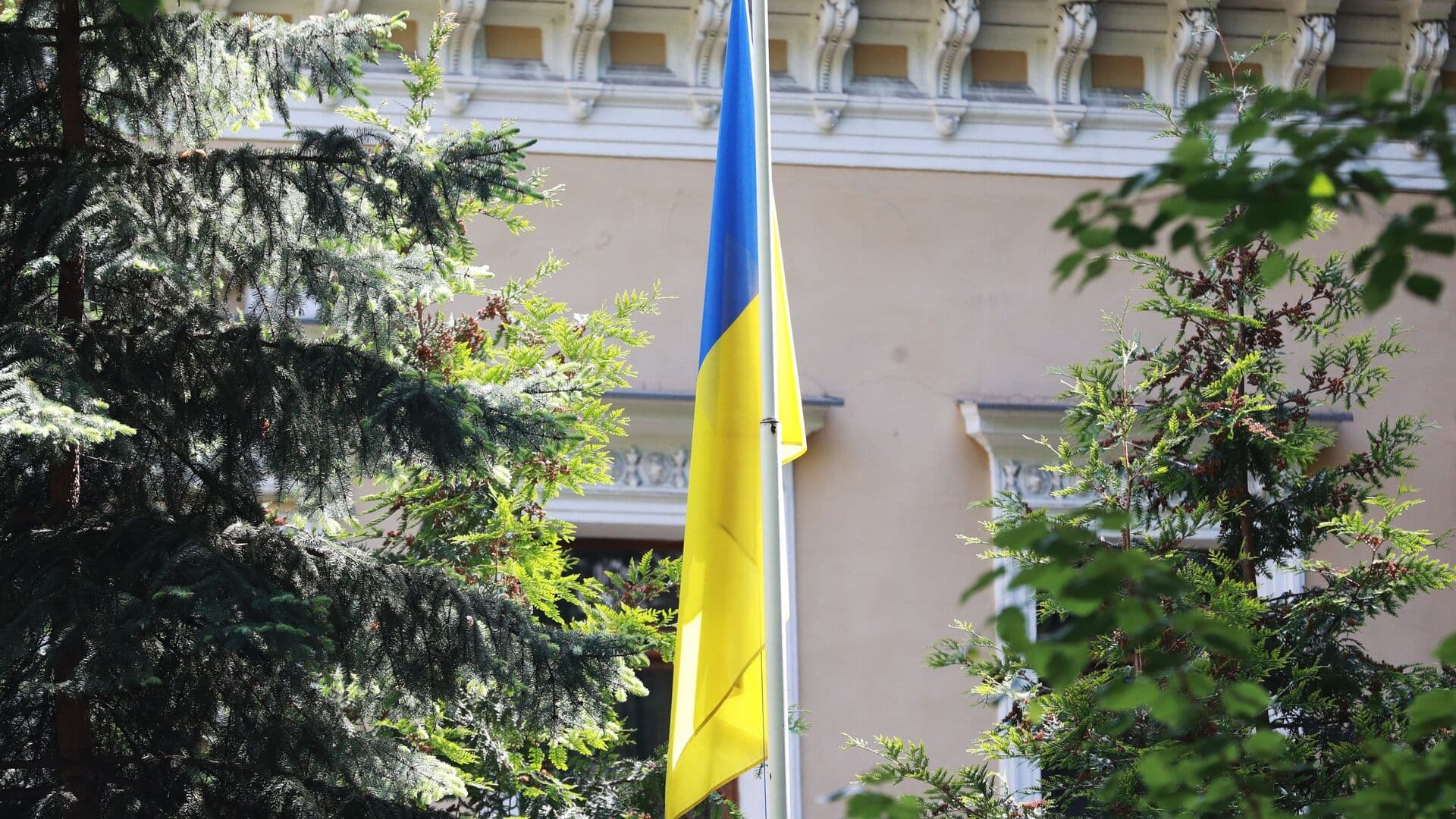 Украинский депутат заявил о нарушении конституции во время мобилизации