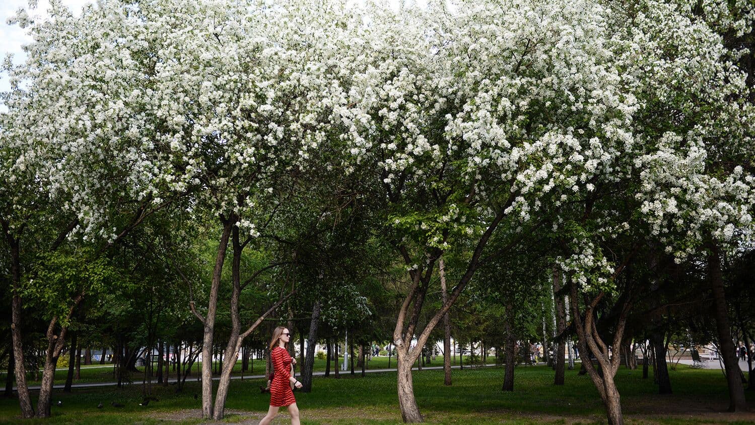 Врач рассказал, каких продуктов остерегаться людям с аллергией на пыльцу