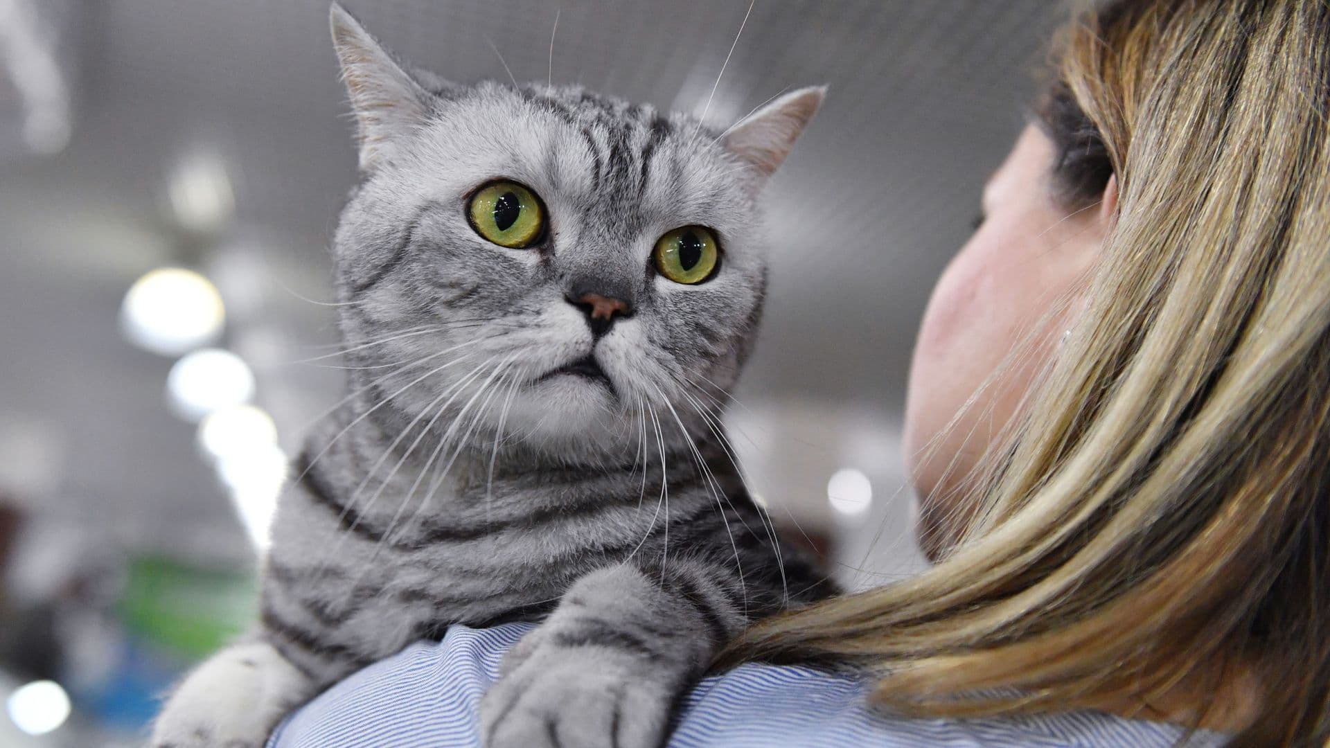 В России появился первый pet-friendly санаторий