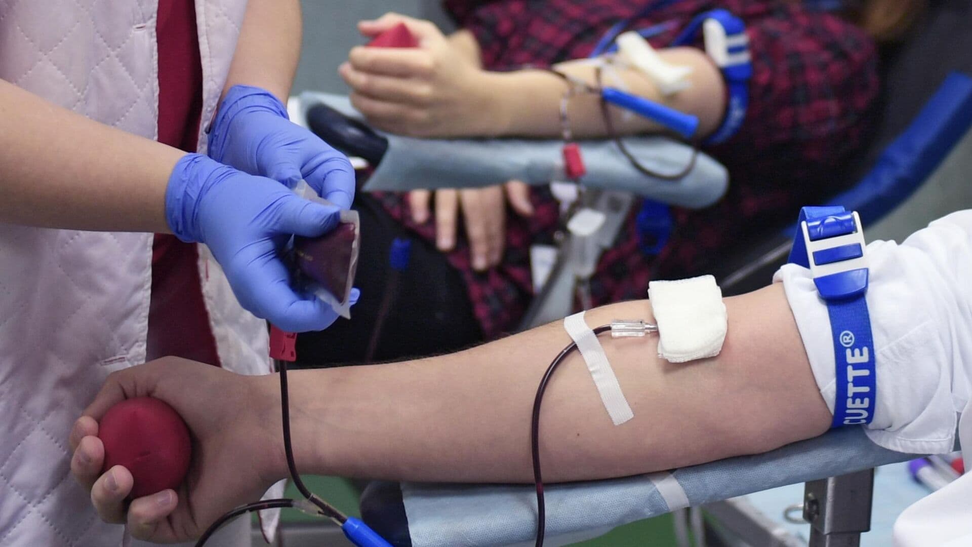 В Госдуме рассказали о льготах для почетных доноров крови