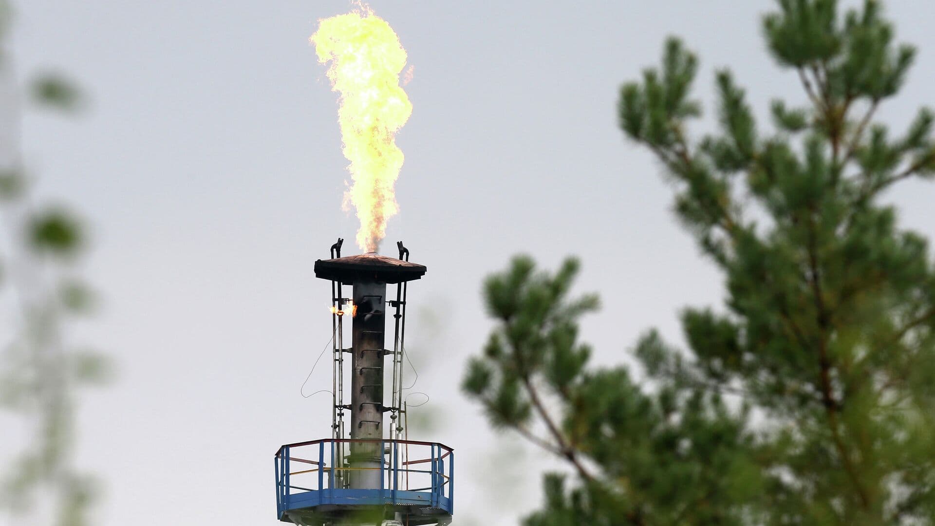 Словакия протестирует поставки нефти из Чехии на фоне остановки "Дружбы"