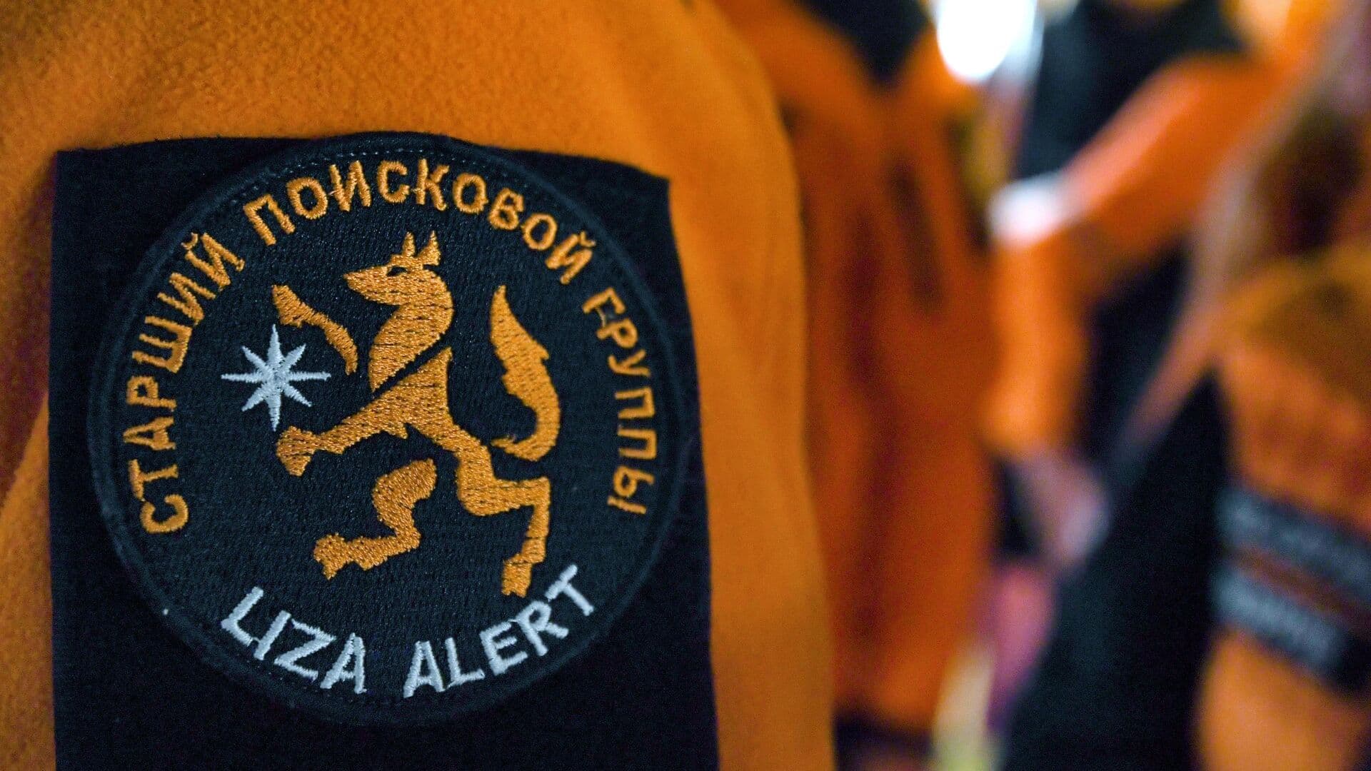 "Лиза Алерт" получила заявку о пропаже пяти человек в Пермском крае