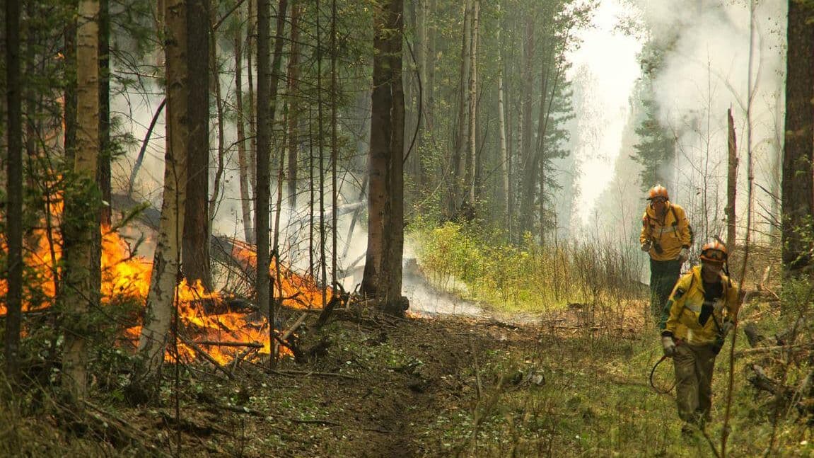 На юге Франции произошел крупный лесной пожар