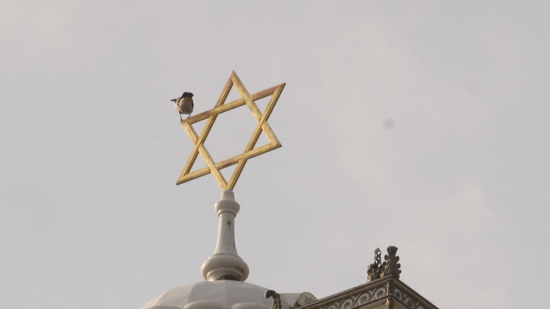 В Роттердаме подожгли синагогу, власти считают это антисемитской атакой