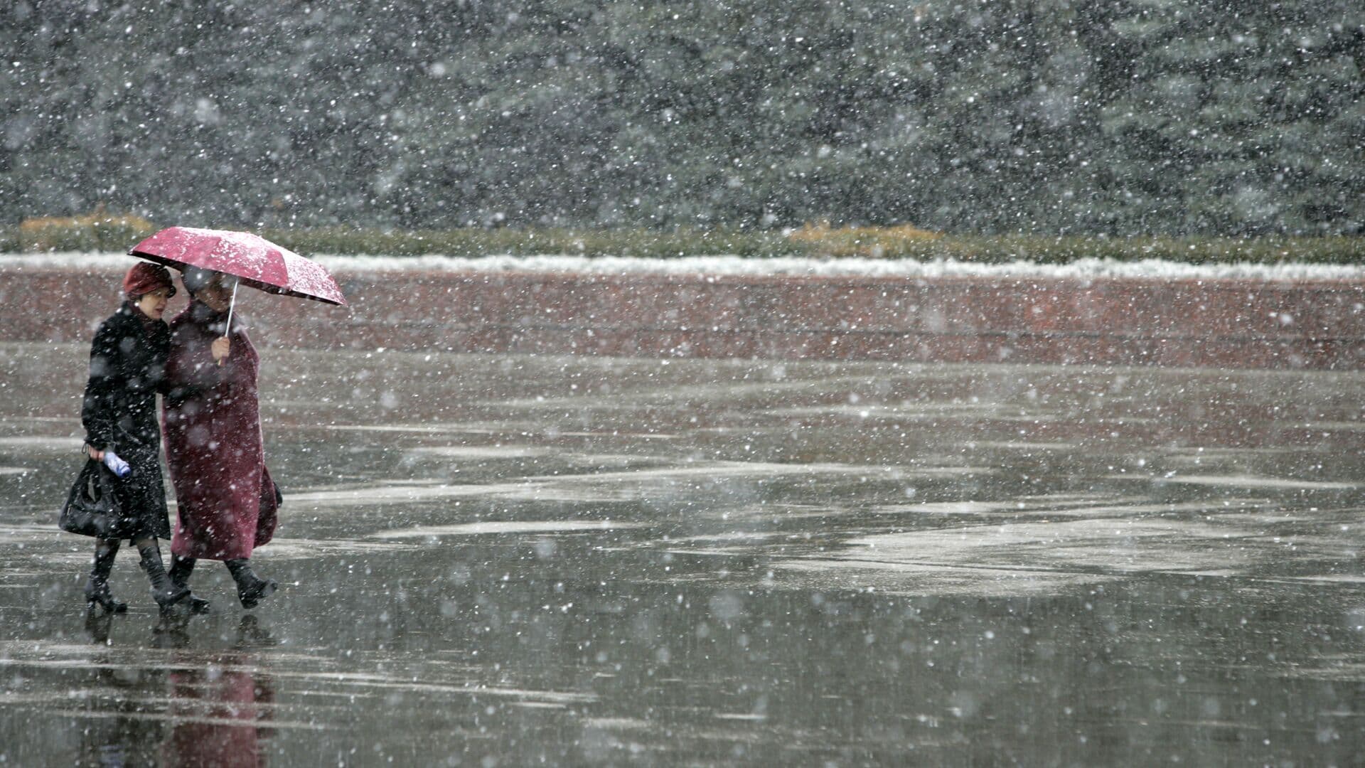 Синоптик рассказал о метели в Москве в конце следующей недели