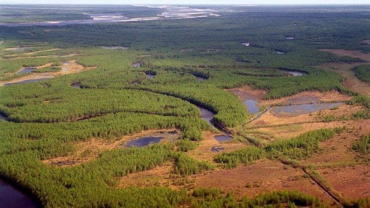 Ученый рассказал о главных условиях для развития биоэкопоселений в Арктике