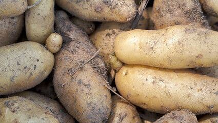 "Руспродсоюз" назвал самый подешевевший за год продукт