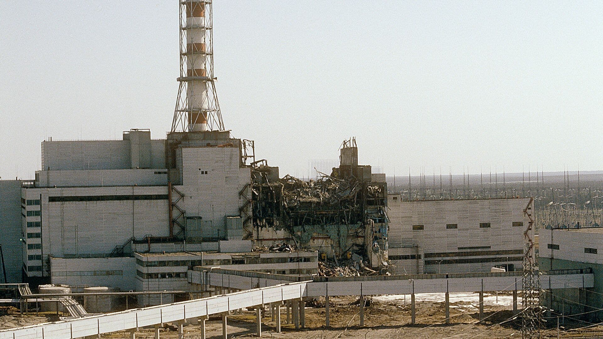 Ученый рассказал о жителях территории, загрязненной после аварии на ЧАЭС