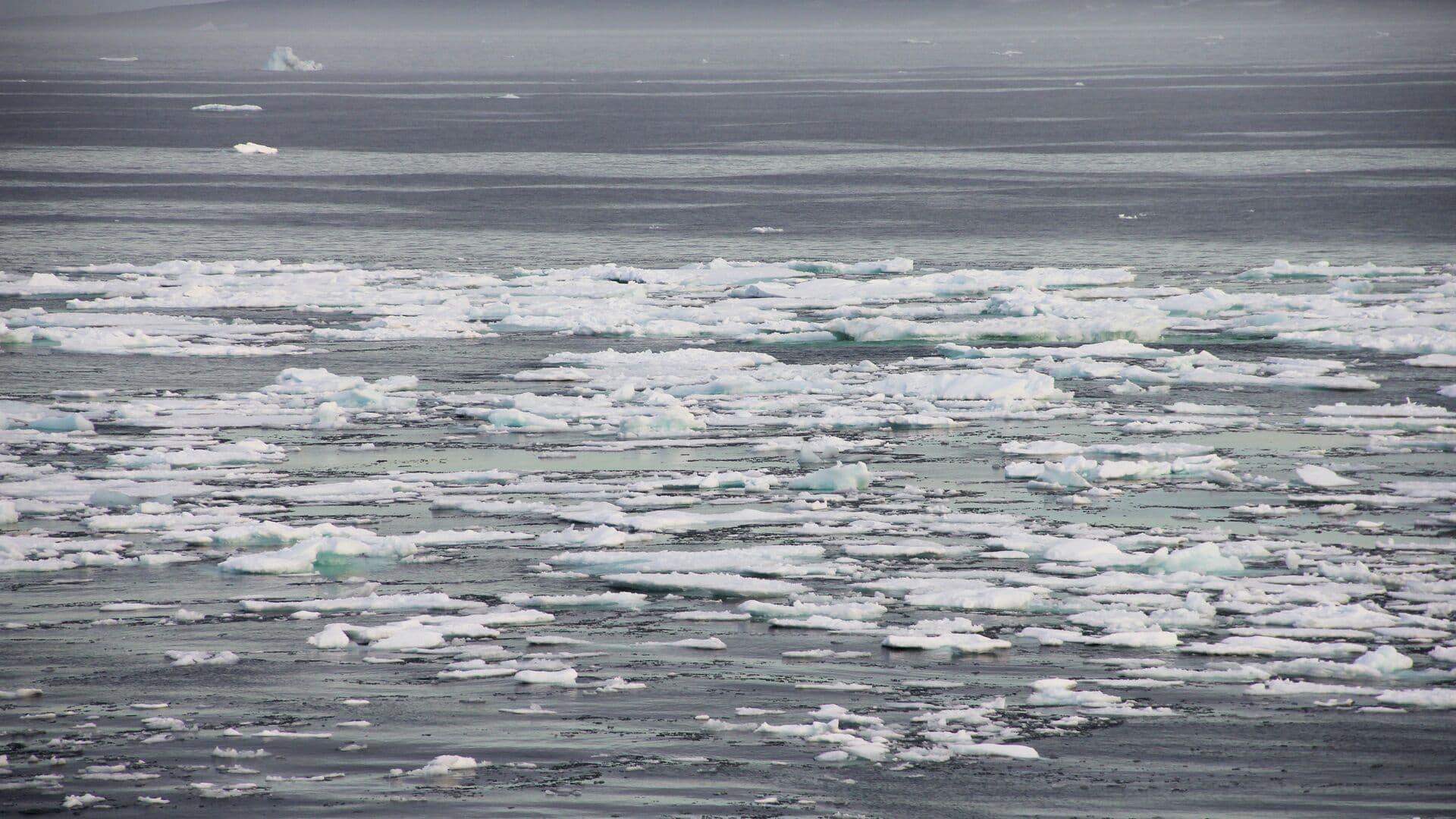 НАТО рассматривает сценарии конфликта с Россией в Арктике, заявила Захарова