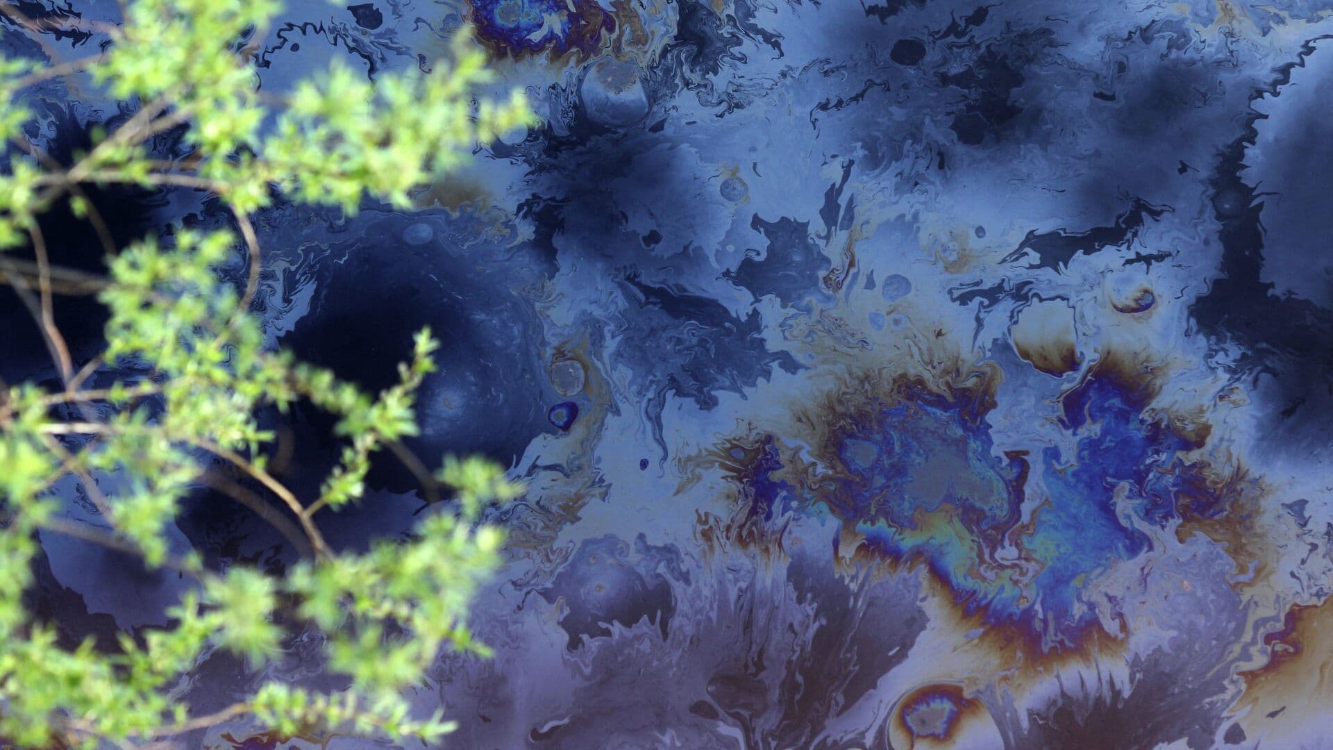 На Днестре установили барьеры от возможного разлива нефтяного пятна