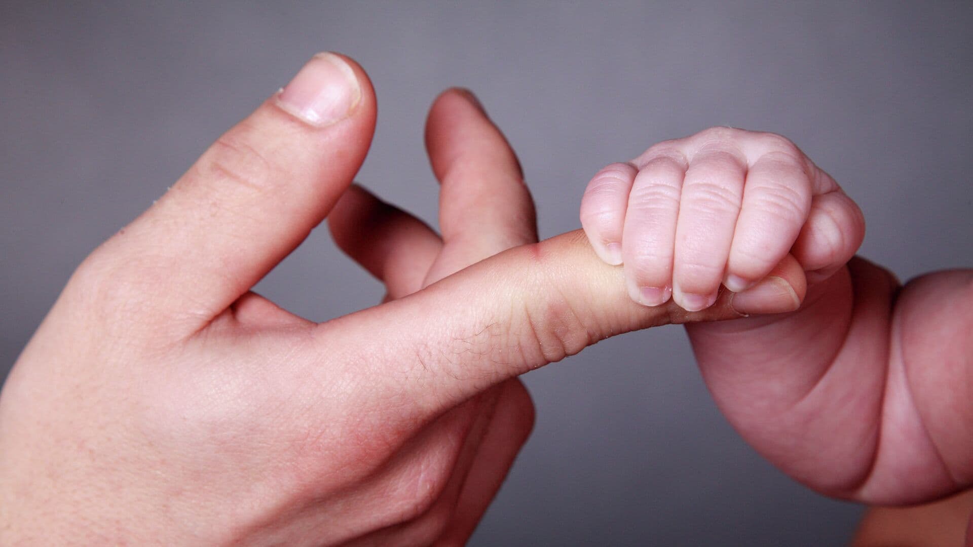 В Тульской области введут студенческий материнский капитал