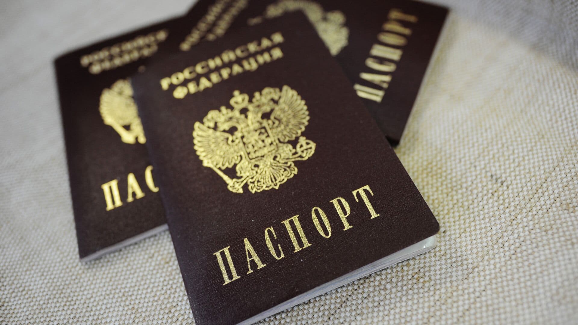 В Госдуме предложили упростить восстановление паспорта при ошибке
