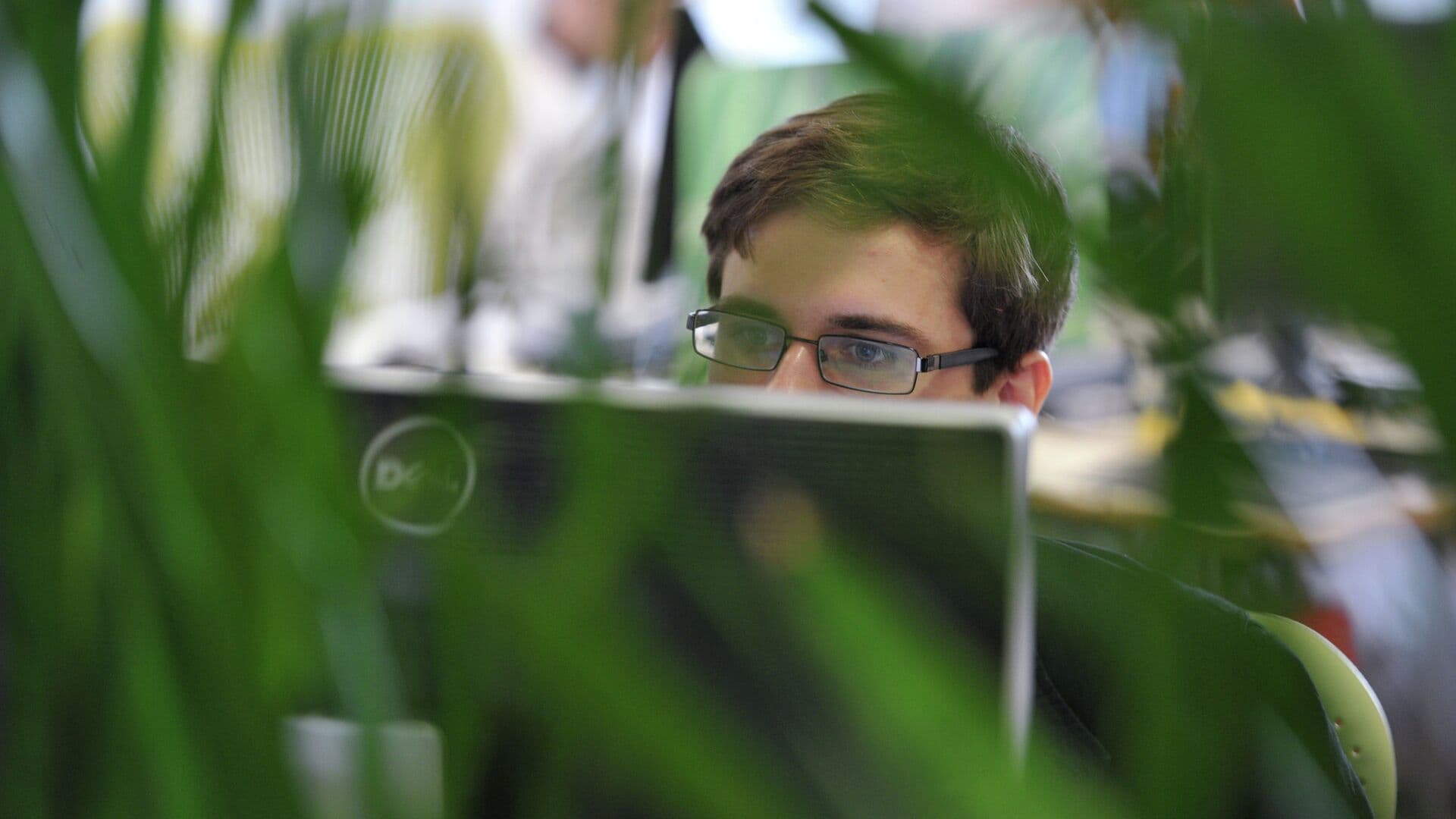 В Узбекистане приняли закон о наказании за нецензурную лексику в интернете