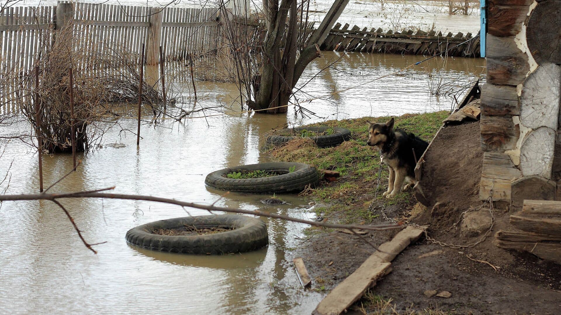 В четырех регионах Сибири произошли подтопления