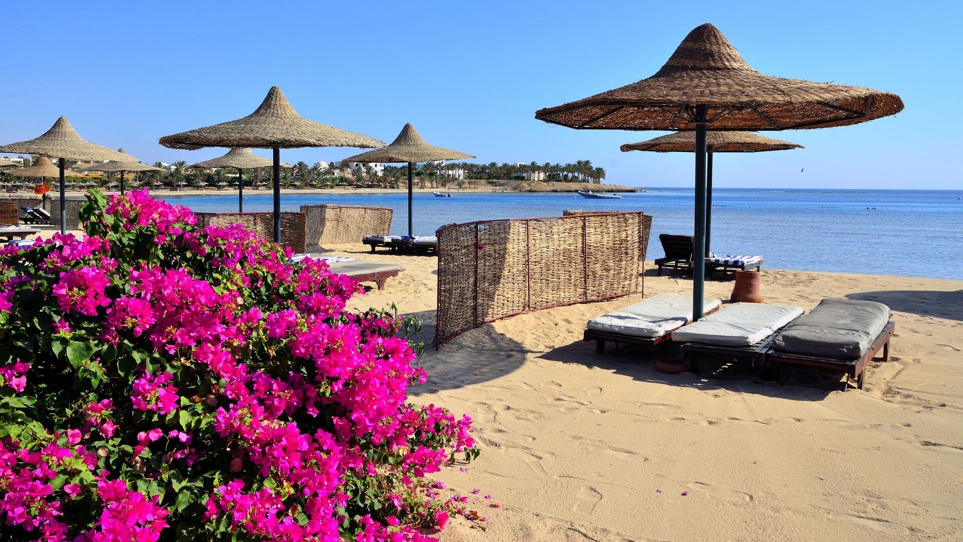 Названы страны, куда россияне поедут на отдых в апреле