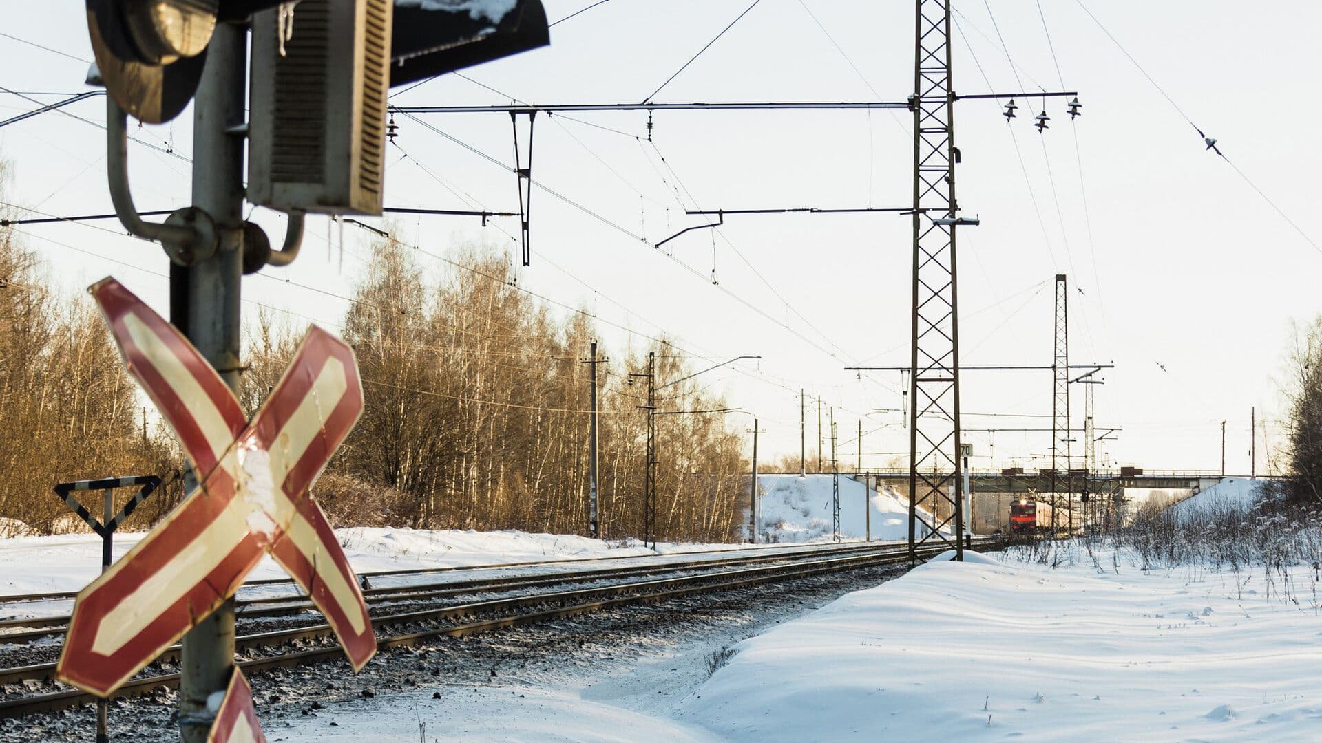 В Воронежской области задержали движение поездов из-за отключения сети