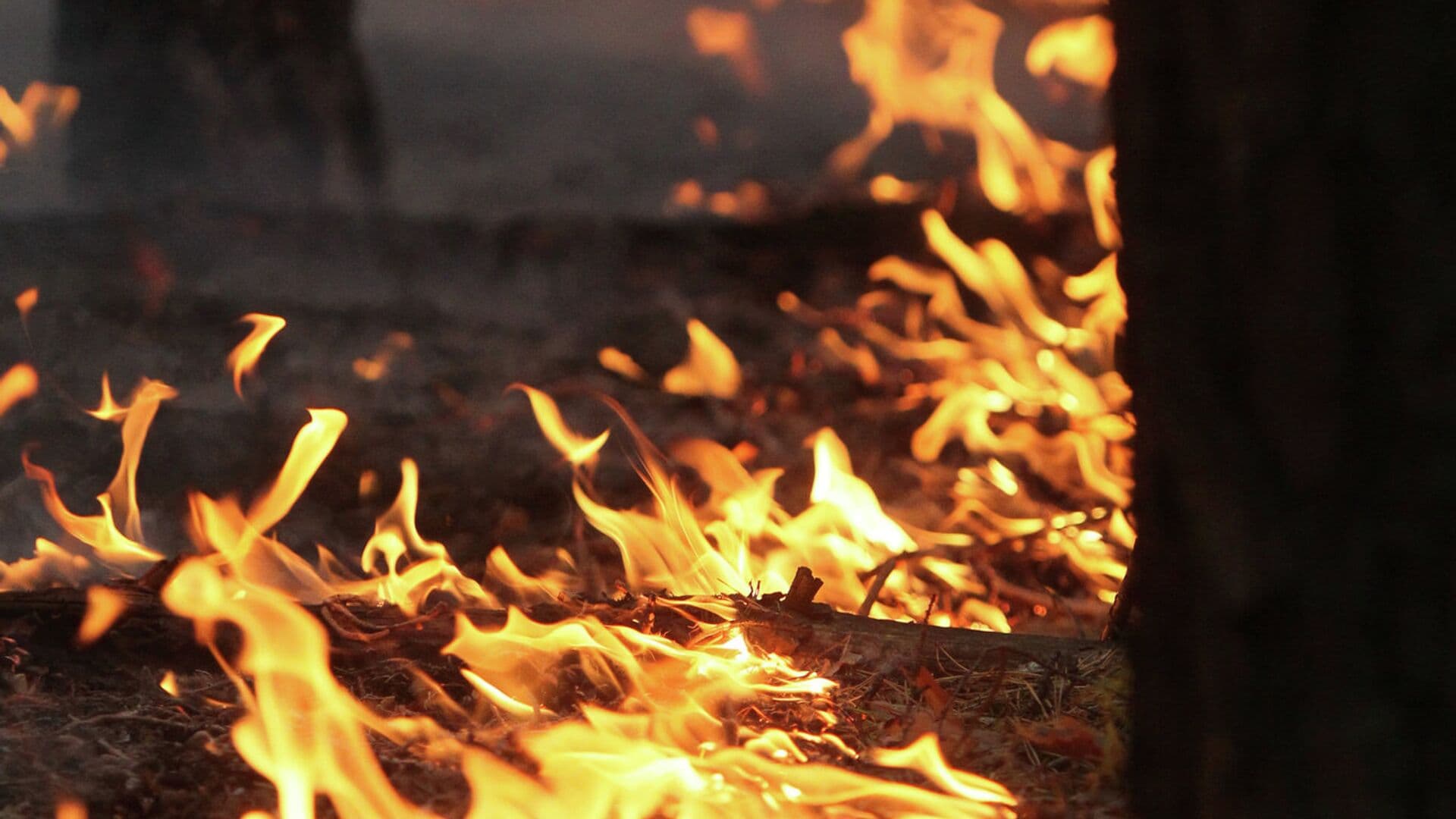 В МЧС рассказали, как развести костер и не поджечь лес