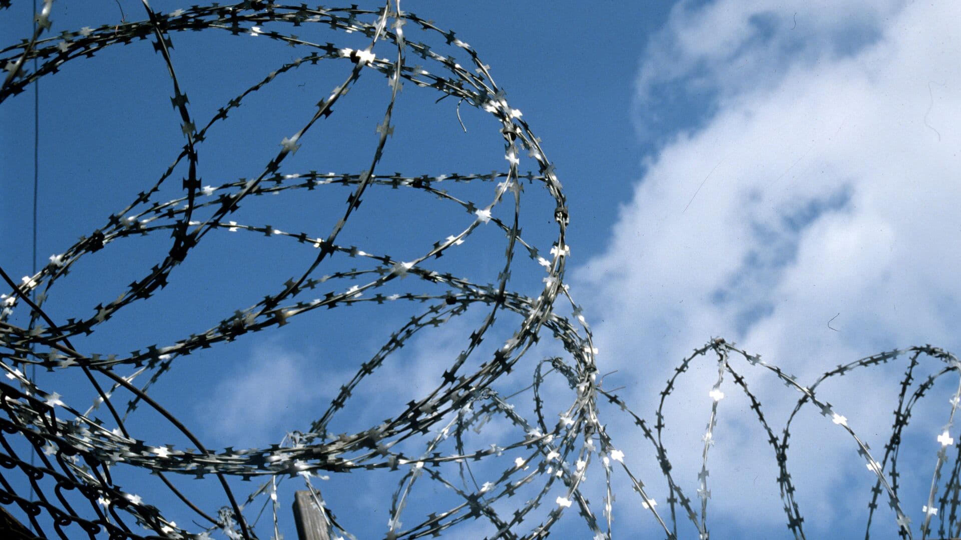 В Курганской области осужденного задержали в день выхода из колонии