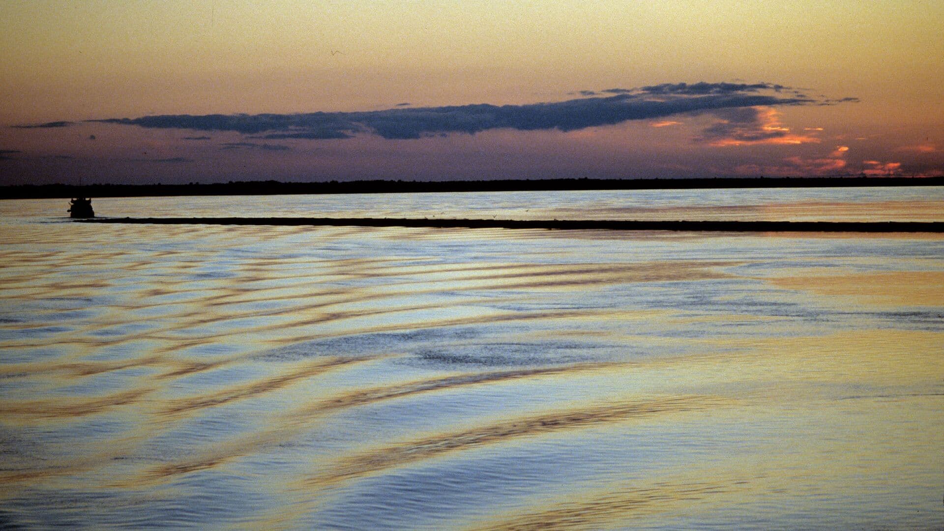 Ученый рассказал о повороте сибирских рек в Центральную Азию