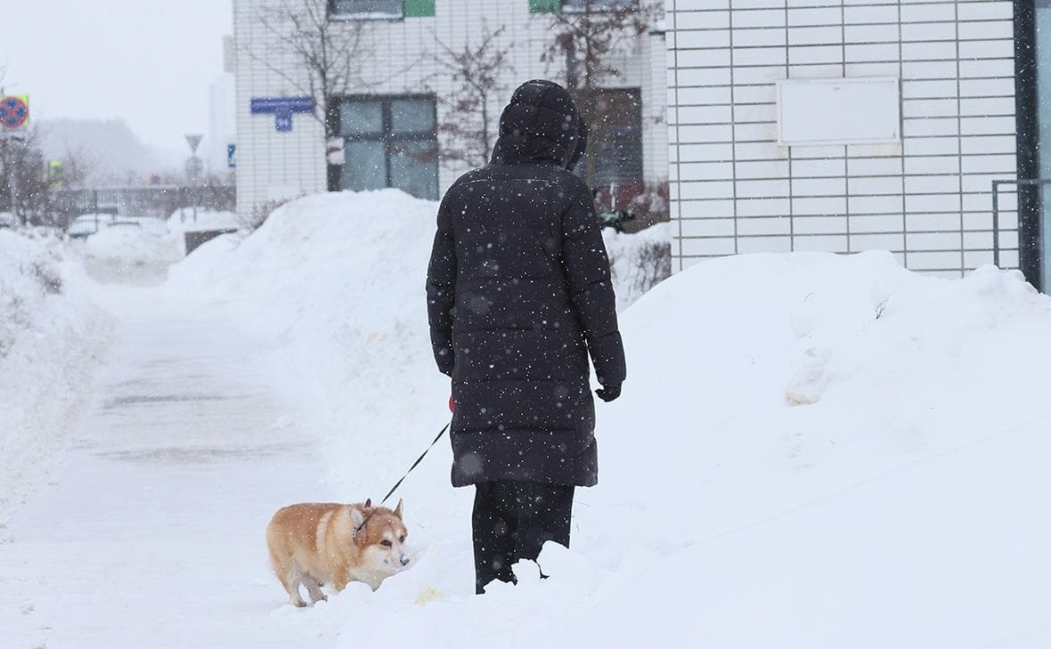 В Москве допустили 16-летний рекорд по высоте снежного покрова